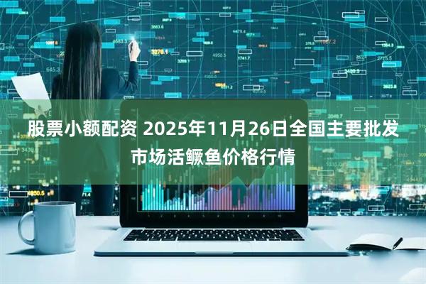 股票小额配资 2025年11月26日全国主要批发市场活鳜鱼价格行情