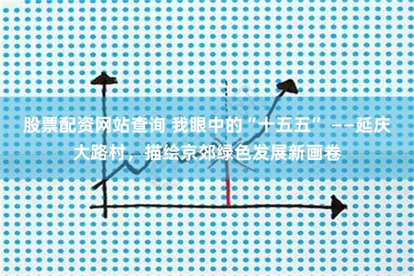 股票配资网站查询 我眼中的“十五五” ——延庆大路村,描绘京郊绿色发展新画卷